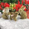 Design Toscano The Bunny Den, Garden Rabbit Statue: Set of Three QM92008